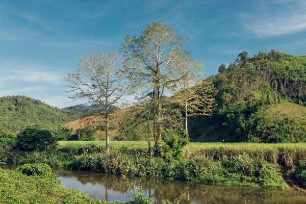 Photo ecologie : les clients parlent de leur expérience positive