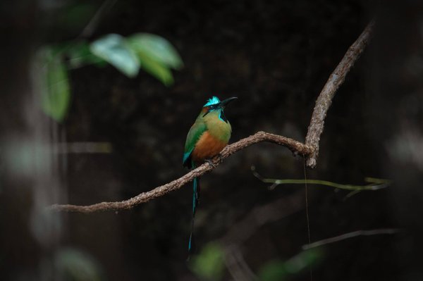 Quelles stratégies pour intégrer des snacks sains dans l'alimentation de vos enfants ?